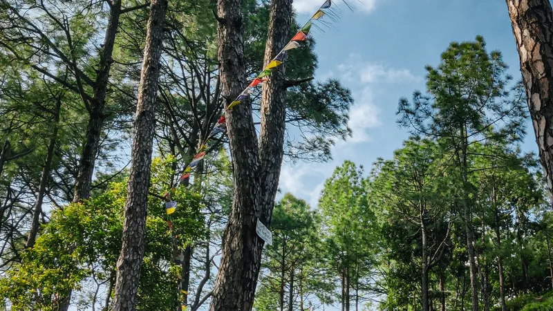 IMG_20230816_163048_0009